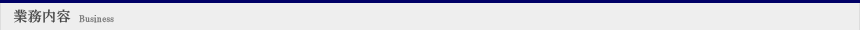 業務内容 business